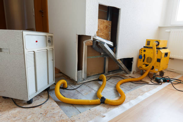 Best Residential Mold Inspection & Testing  in Coldwater, OH