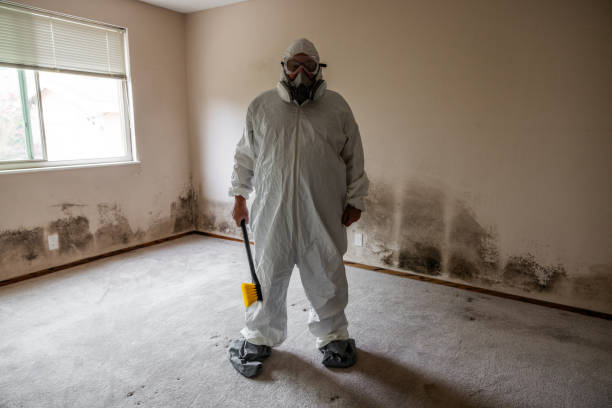 Forensic Mold Investigation in Coldwater, OH